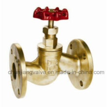 Brass Flange Globe Valve Manufacturer (J314)